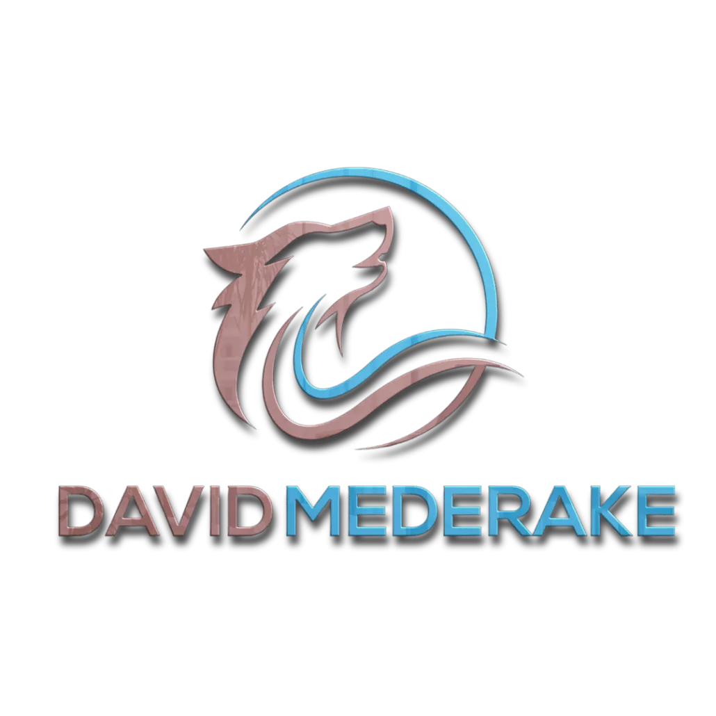logo_david_mederakelogodavid_3d_shadow